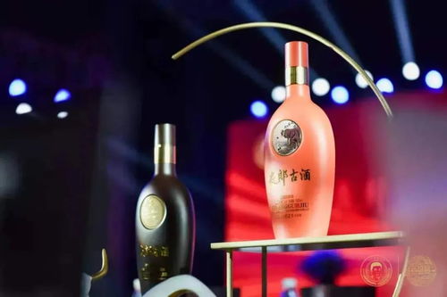 央媒观酒 起底夜郎古揭秘五年奋进路线图