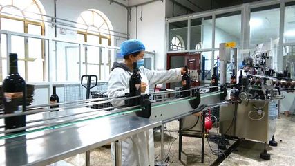 做强工业“主引擎” 跑出发展“加速度”