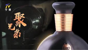 贵州南国酒业微酒堡携手各大卫视,共创酒业销售新未来